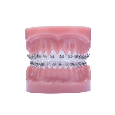 Picture of Razor Typodont - Piece