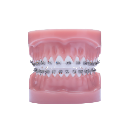 Picture of Razor Typodont - Piece