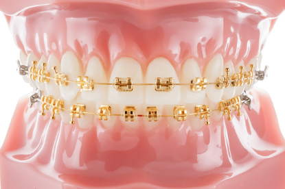 Picture of Royal Typodont - Piece